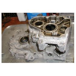 P1170051.JPG