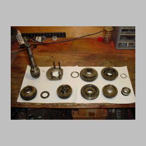 Pinion Shaft Gears 619.jpg